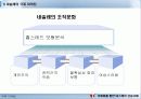 네슬레의 국제마케팅사례분석 15페이지