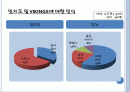 바이킹스 마케팅및 SWOT분석 1페이지