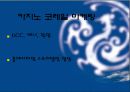 사업계획서,카지노사업 19페이지