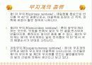 무지개에 대한 PPT 15페이지