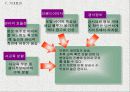 경시대회 관련 포탈 사이트 구축 계획안 13페이지