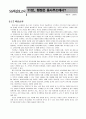 뉴 SS 혁신보고서를 읽고 21페이지