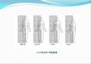 체형분류법 5페이지