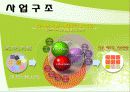 제주도허브관광사업 사업게획서및 마케팅기획서 3페이지