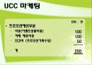 제주도허브관광사업 사업게획서및 마케팅기획서 13페이지
