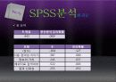 구글(google)마케팅조사 보고서 13페이지