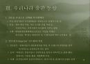 출판시장 13페이지