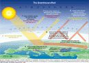 지구온난화 GLOBAL WARMING에 관한 PPT 자료 11페이지