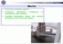 지구온난화 GLOBAL WARMING에 관한 PPT 자료 23페이지