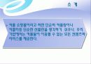 쇼핑몰 인터넷마케팅 기획서 6페이지