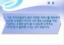 쇼핑몰 인터넷마케팅 기획서 7페이지