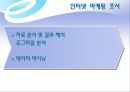 쇼핑몰 인터넷마케팅 기획서 12페이지