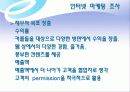 쇼핑몰 인터넷마케팅 기획서 13페이지