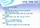 쇼핑몰 인터넷마케팅 기획서 14페이지