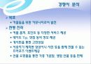 쇼핑몰 인터넷마케팅 기획서 18페이지