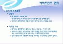 쇼핑몰 인터넷마케팅 기획서 23페이지
