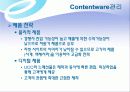 쇼핑몰 인터넷마케팅 기획서 29페이지