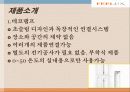 감성조명 필룩스(feelux)해외진출 마케팅사례 6페이지