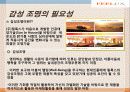 감성조명 필룩스(feelux)해외진출 마케팅사례 17페이지