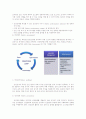 항공안전관리 시스템 (Safety Management System) 6페이지