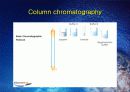 Colume chromatography(관크로마토그래피)-실험예비보고서 12페이지