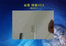 Colume chromatography(관크로마토그래피)-실험예비보고서 23페이지