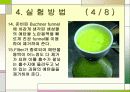 m-Dintrobenzene의 합성-예비보고서입니다 18페이지