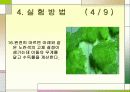m-Dintrobenzene의 합성-예비보고서입니다 19페이지