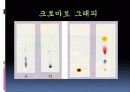 TLC(크로마토그래피)-실험예비보고서입니다 3페이지