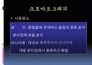 TLC(크로마토그래피)-실험예비보고서입니다 4페이지