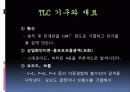 TLC(크로마토그래피)-실험예비보고서입니다 26페이지