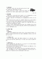 스키수업용 레포트 3페이지