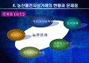 농산물 전자상거래의 문제와 과제 17페이지