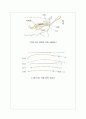 양돈학 돼지의 번식 6페이지