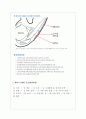 양돈학 돼지의 품종 11페이지