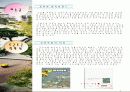 교과교육-교과서분석-물리 3페이지