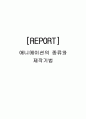 애니메이션의 종류와 제작기법 1페이지