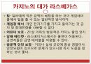 관광 카지노업 22페이지