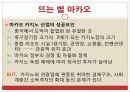 관광 카지노업 30페이지