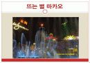 관광 카지노업 31페이지
