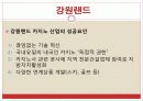 관광 카지노업 33페이지