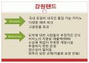 관광 카지노업 34페이지