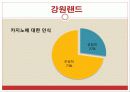 관광 카지노업 36페이지