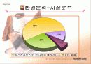 프리미엄아이스크림 하겐다즈(Haagen-Dazs)마케팅STP,4P,BCG분석 파워포인트 9페이지