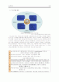 노인일자리사업관련 레포트(서초노인종합복지관을 중심으로) 8페이지