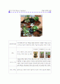 조경인테리어실습 포트폴리오 8페이지
