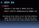 된장과 미소 14페이지