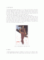 (패션디자인B형)복식디자인 요소 중 선과 색채에서 각 항목에 해당되는 사례의 사진이나 그림 첨부 및 설명(동일 색생 조화, 보색조와, 삼각조화 등) 1페이지