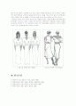 (패션디자인B형)복식디자인 요소 중 선과 색채에서 각 항목에 해당되는 사례의 사진이나 그림 첨부 및 설명(동일 색생 조화, 보색조와, 삼각조화 등) 6페이지