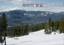 스키의 역학적분석 장비분석 17페이지